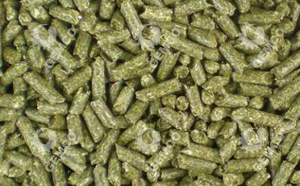 顆粒機(jī)制成的顆粒 顆粒機(jī)制成的顆粒