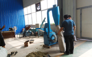客戶正在試機(jī)飼料粉碎機(jī) 客戶正在試機(jī)飼料粉碎機(jī)
